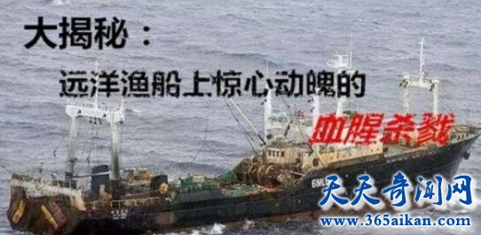 鲁荣渔2682号惨案揭秘，33人出海就回来11人