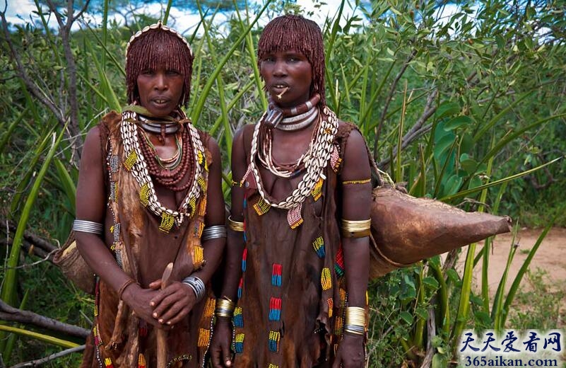 丛林野人出没，揭秘非洲大地上的野人部落！