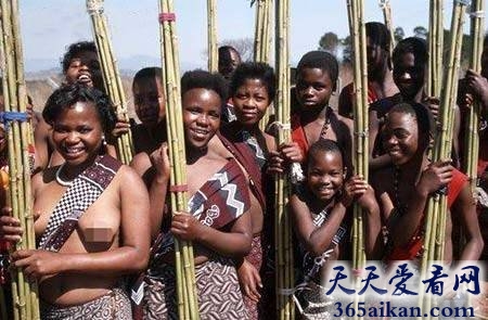 细数非洲原始部落的女人怪异的习俗是怎么样的？