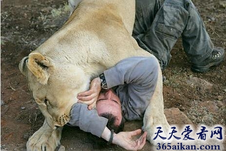 揭秘古代历史上令人震惊恋兽癖行为！！！