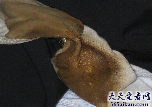 米国内裤1.jpg