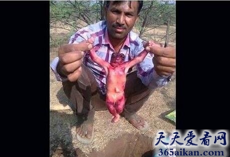 印度挖出人形生物1.jpg