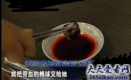 处女血球.jpg