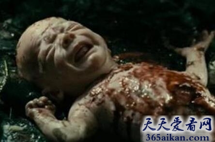 德国圣母案1.jpg
