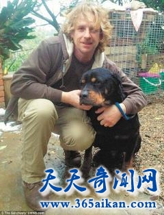 台湾流浪狗化身高富帅，当选英国最帅流浪狗！