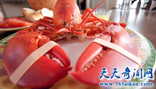 越来越多的是中国人吃龙虾，美国龙虾纷纷涨价！