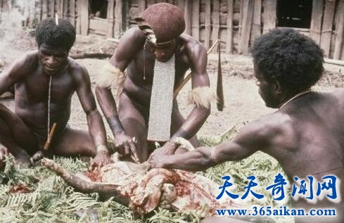 巴西外星人被人吃掉了？探秘：外星人是否来过地球？