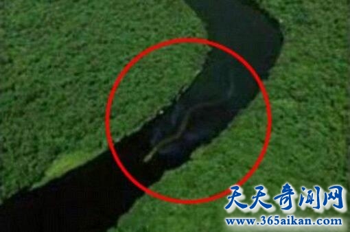 飞机上航拍的水中蛟龙.jpg