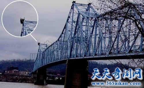 天蛾人与飞碟有关？揭秘：天蛾人的发现之旅