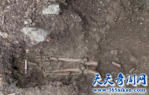 奇闻：百年古树倒塌，树根扯出千年干尸