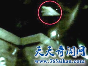 俄罗斯克里姆林宫上空惊现UFO，警方拒绝回答相关问题！