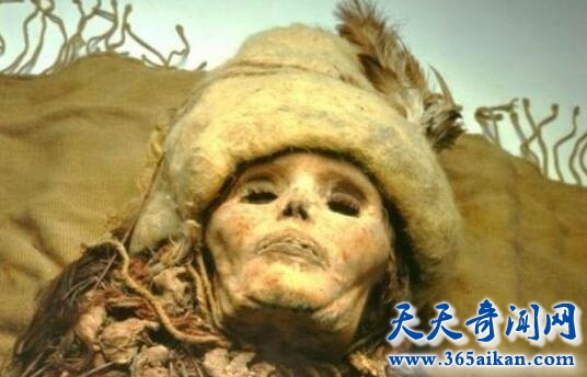 世界上最古老的奶酪，中国发现距近3600年前的奶酪
