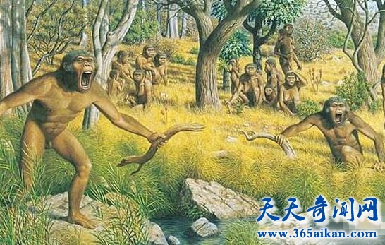 人类祖先是古猿1.jpg