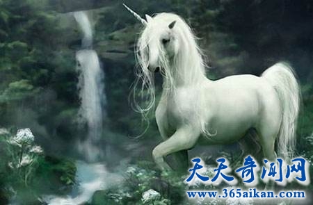 现实社会中到底有没有独角兽呢？