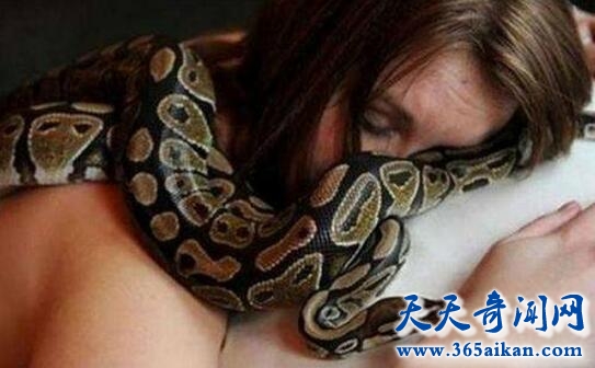 蟒蛇每晚缠着女子睡觉4.jpg