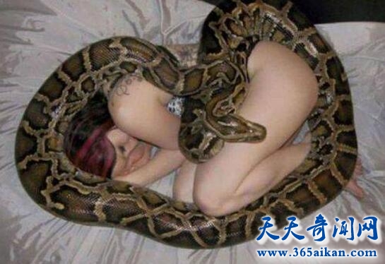 蟒蛇每晚缠着女子睡觉1.jpg