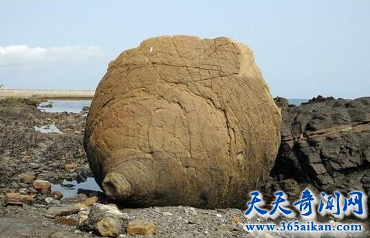 日本惊现乳房岩引众多游客围观！大自然也是这么邪恶！