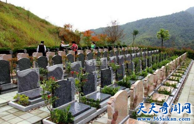 投资需谨慎，免费黄山旅游却被忽悠买6万元的活人墓！