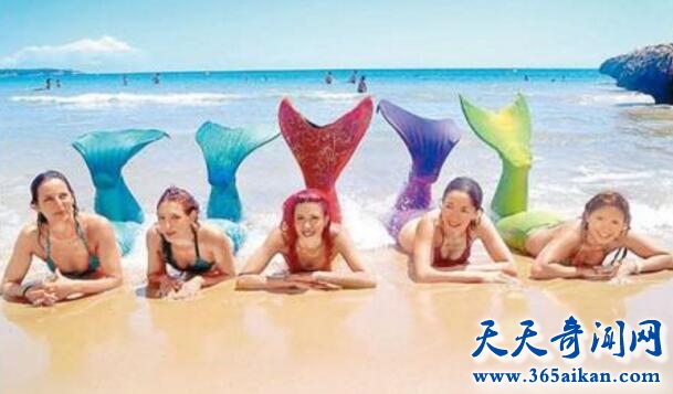 美人鱼