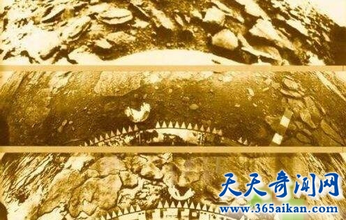 金星上发现两万城市的遗迹