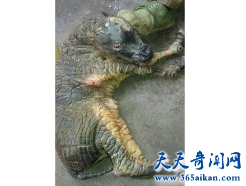 QQ截图20170411115104.jpg