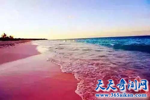 粉色沙滩在哪个国家？世界上最性感的沙滩为什么是粉色的