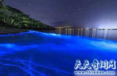 马尔代夫超美荧光海滩，世界上最美的海滩