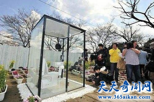 日本发明透明厕所，方便时被路人围观太刺激