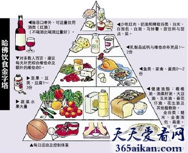 健康生活法则，饮食金字塔让您拥有健康身体！