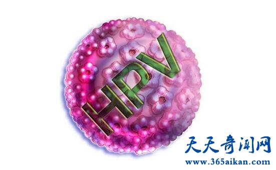 hpv病毒是什么？患上hpv病毒有哪些症状？