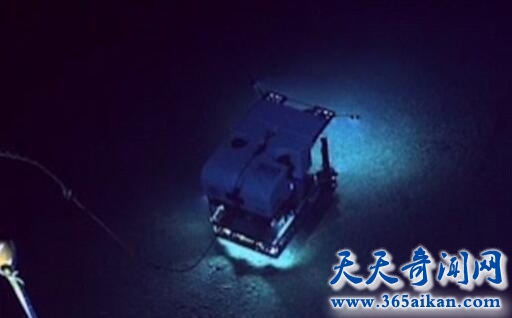 探寻9000米深海下的奇异动物，奇形怪状仿佛外星生物！