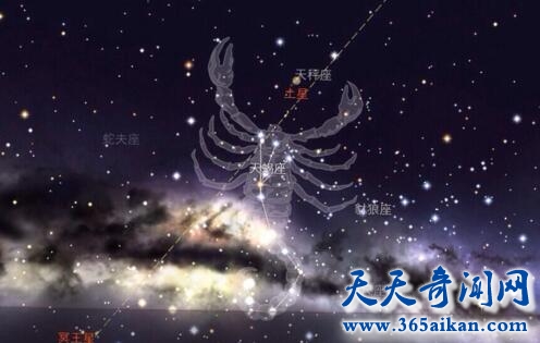 天蝎座流星雨1.jpg