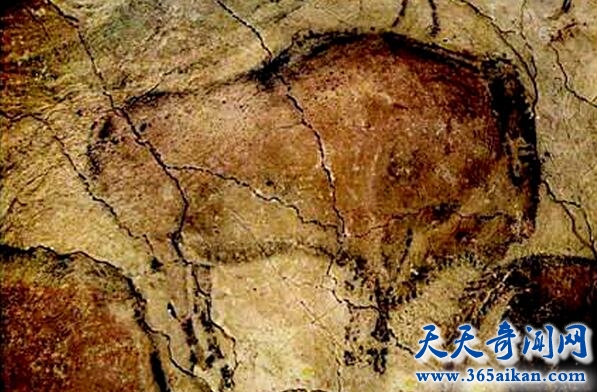 野牛(Bison)岩洞壁画.jpg