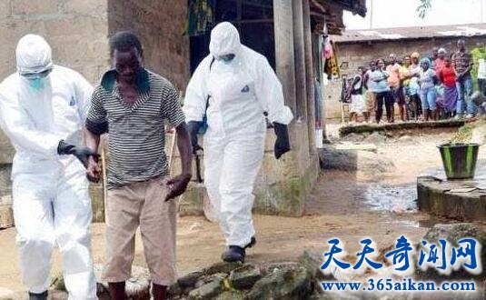 埃博拉病毒宛如僵尸，感染埃博拉病毒的人会变成僵尸吗？
