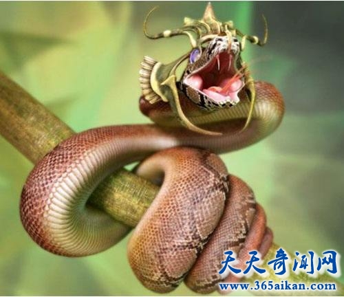 绿茸线蛇为什么可以活20万年？绿茸线蛇是否真实存在？