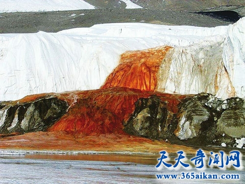 南极洲的血瀑布，血瀑布的形成过程