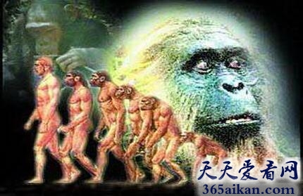 人类起源于哪？探秘：人类的起源地是中国吗？