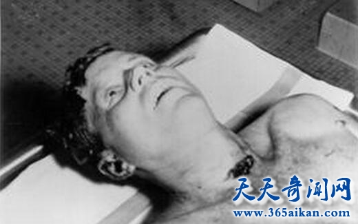 肯尼迪之死3.jpg