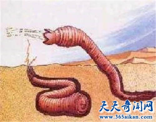 蒙古死亡蠕虫存在吗？沙漠巨型蠕虫长数十米