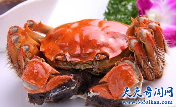 死掉的螃蟹为什么不能吃？吃死掉的螃蟹有哪些危害？