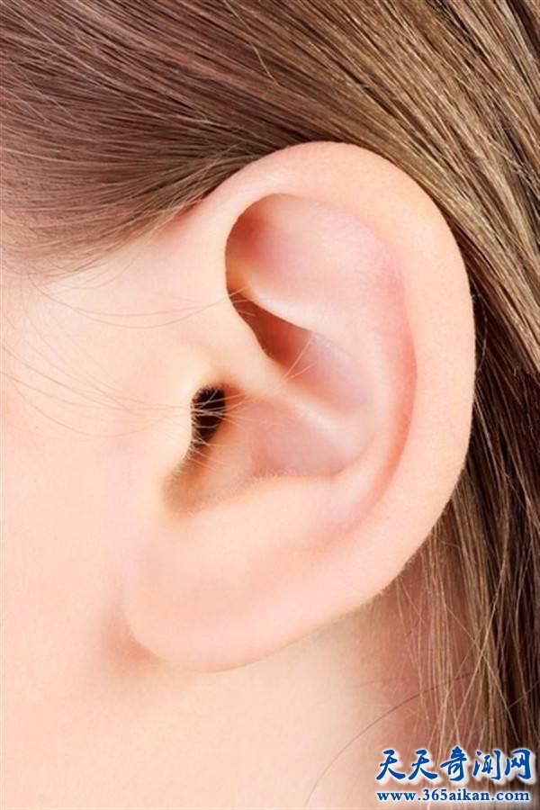 耳屎应该如何清理？耳屎有哪些好处？
