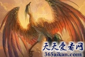 中国十大神兽是那些神兽？中国十大神兽生平介绍