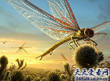 世界上最大的蜻蜓是什么？世界上最大的蜻蜓有多大？