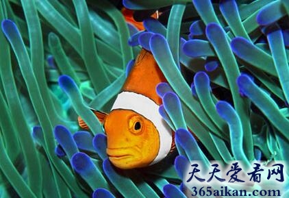 共生.jpg