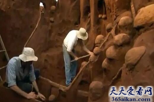 世界上最大的蚂蚁王国，巴西发现巨大地下蚂蚁王国