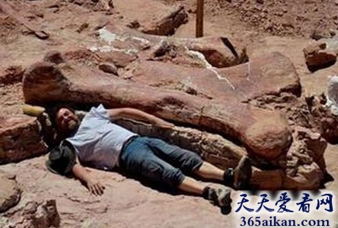 世界上最大的恐龙骨头化石有多大？