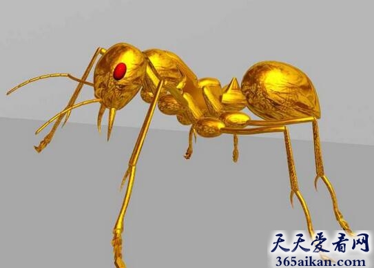 盘点近些年来发现的十大新物种，火星蚂蚁可爱又好看！