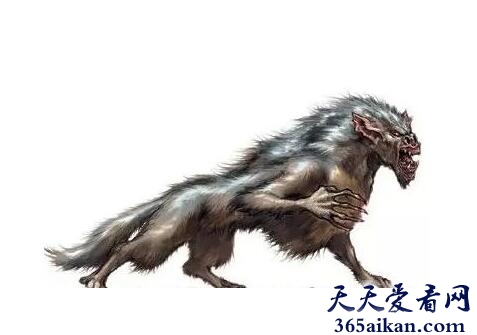 犬魔.jpg
