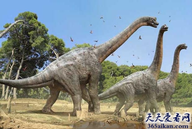 世界上存在过最重的恐龙：腕龙