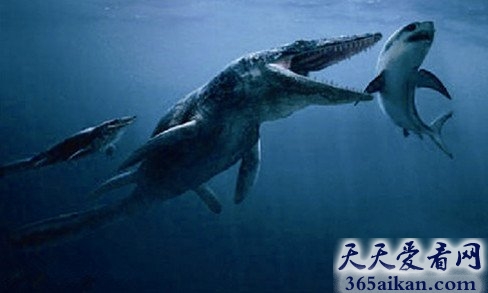揭秘恐龙时代海洋中的掠食者，霸气上龙中的平滑侧齿龙！